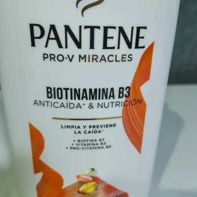 Shampoo Pantene Pro-V Anticaída + Biotinamina B3 950ml